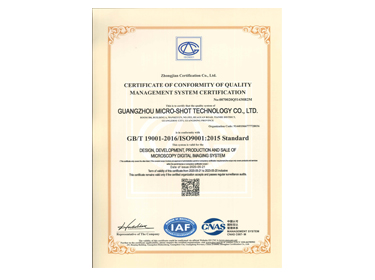 ISO9001:2015 English Certificate