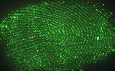 Research on fingerprint recognition of research grade microscope camera