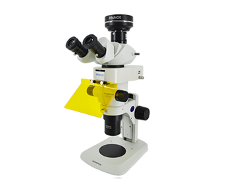 Stereo-fluorescence Microscope