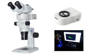 Stereo microscope Fluorescence illumination solution