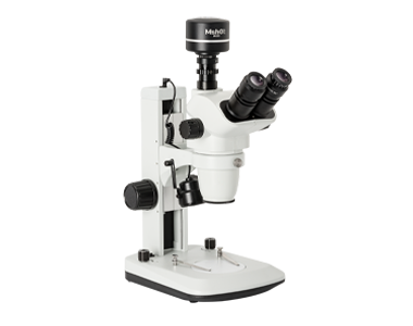 Stereo microscope MZ62