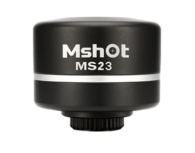 2.3MP Microscope camera MS23 /MS23-H