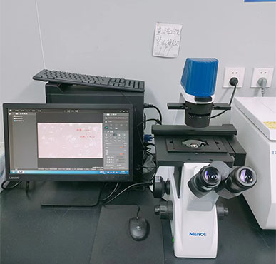 MSHOT Inverted microscope facilitates cell observation at Lanzhou University School of Medicine