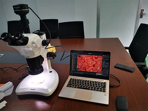 What stereo microscope is used to observe foam materials？