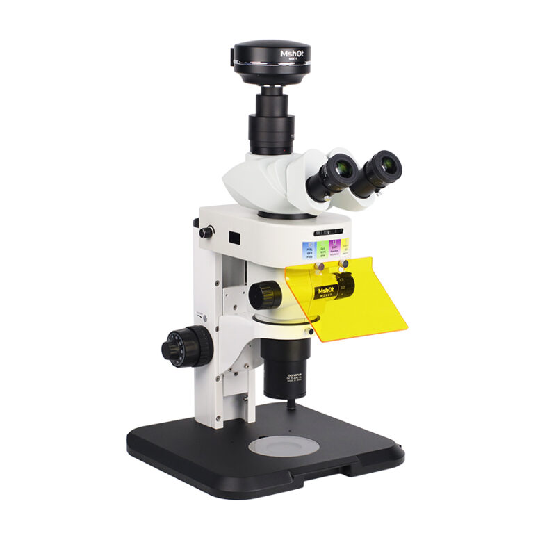 Scientific grade stereo-fluorescence microscope MZX81