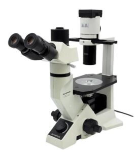 Olympus CKX41 inverted phase contrast microscope