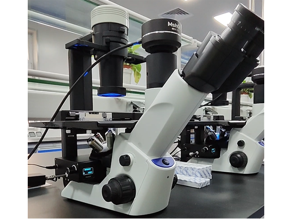 Olympus CKX53 inverted fluorescence microscope with LED fluorescence module