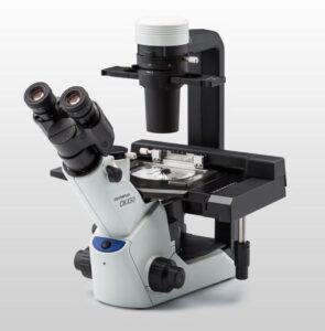 Olympus CKX53 inverted phase contrast microscope