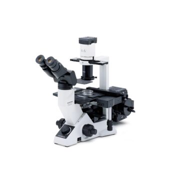 Olympus CKX41 mercury fluorescence configuration